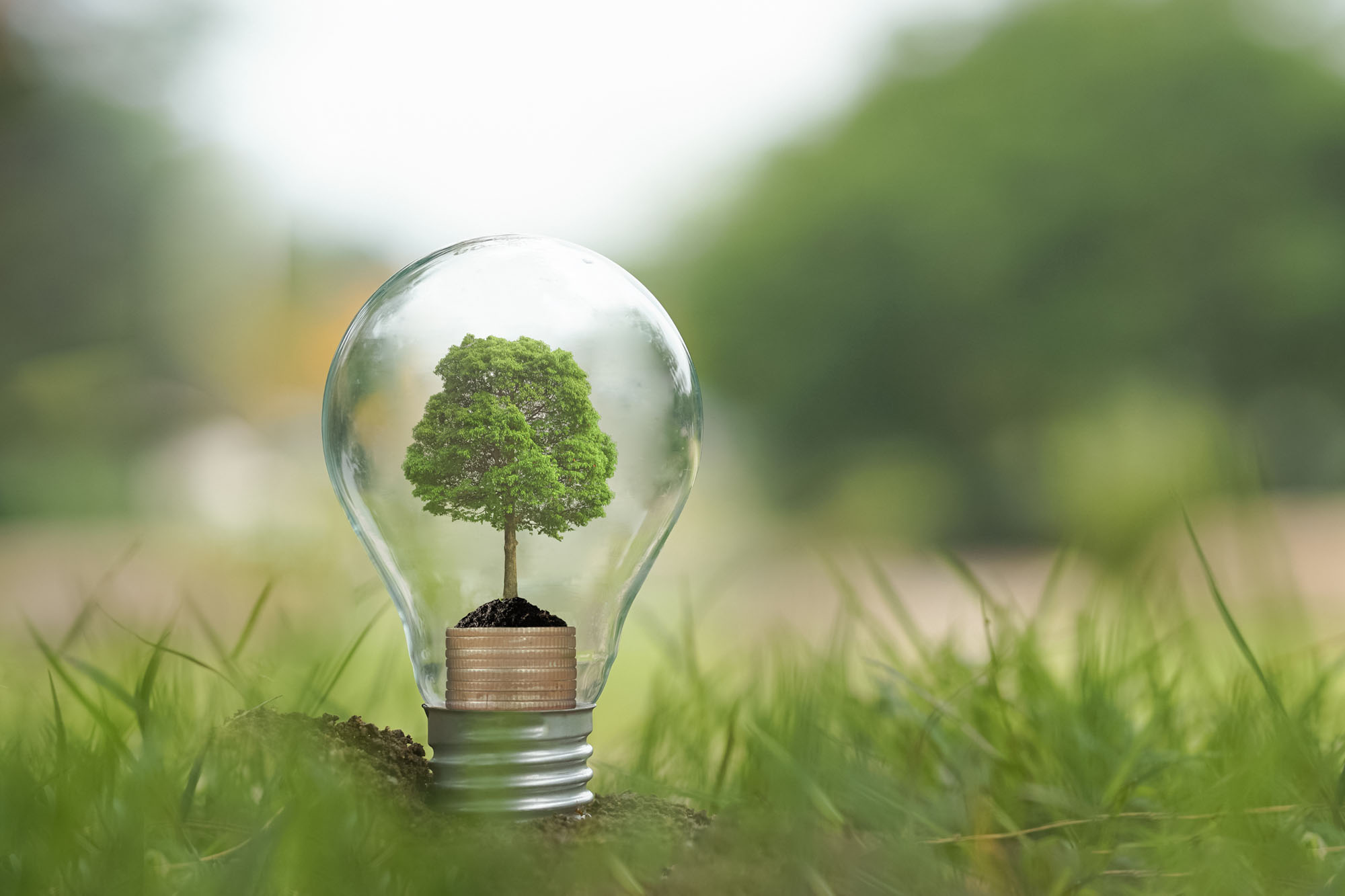 BAYOOTEC - Softwareentwicklung für die Energie- und Versorgungswirtschaft